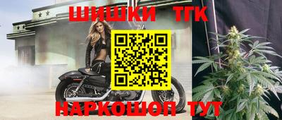 индика Кингисепп