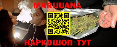 индика Кингисепп