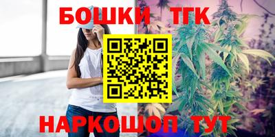 индика Кингисепп