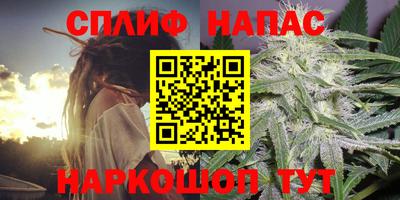 индика Кингисепп