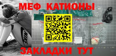 индика Кингисепп