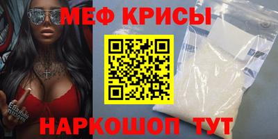 индика Кингисепп