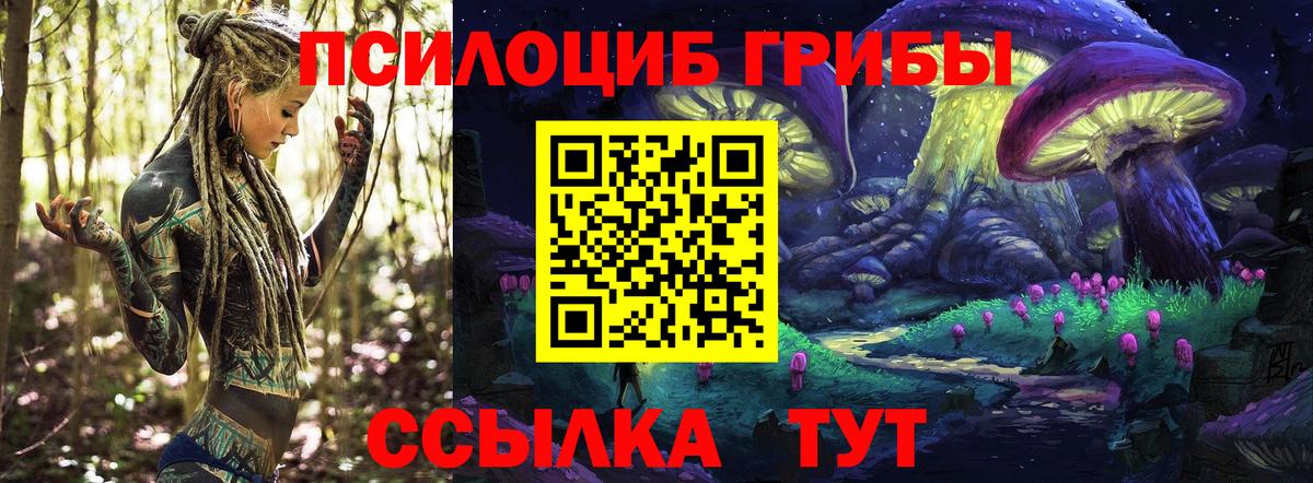 Меф МЯУ МЯУ   ГАШ  Бошки Шишки  КОКАИН  Кодеин  Коряжма  Вход с VPN  ГАШИШ 